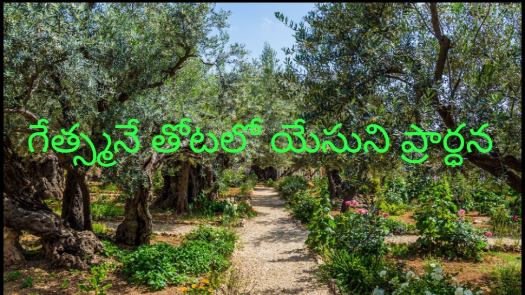 గెత్సేమనే తోటలో యేసుని ప్రార్ధన